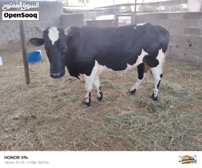 undefined 2