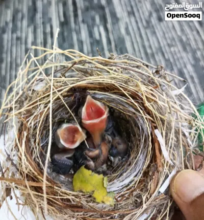 undefined 2