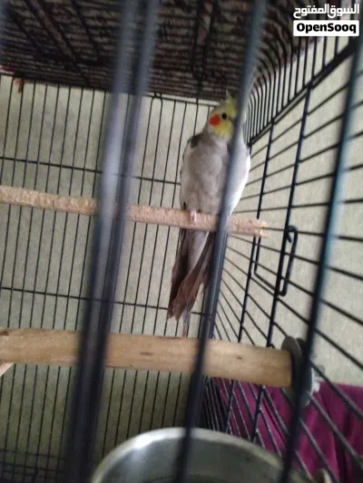 undefined 2