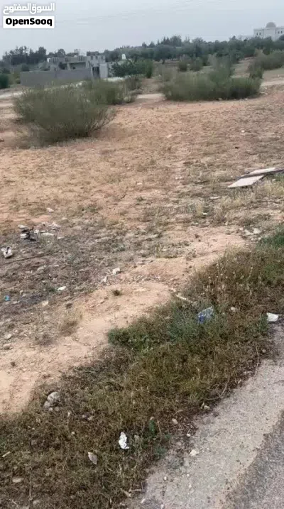 قطعة في حي سكني بسعر كزيوني الله يبارك 3