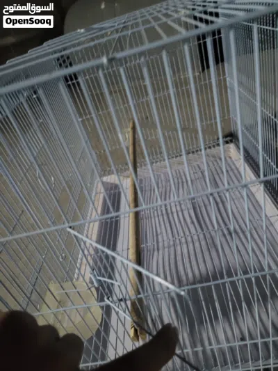 for male and female Big cage for sale with everything 4