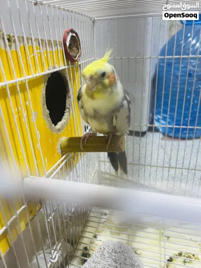 undefined 2