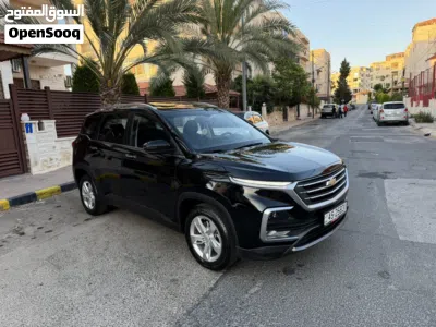 Chevrolet Captiva LT 3