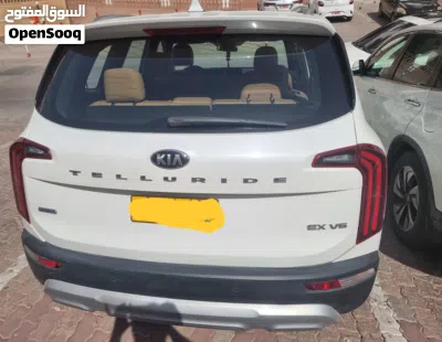 Kia Telluride Standard 3