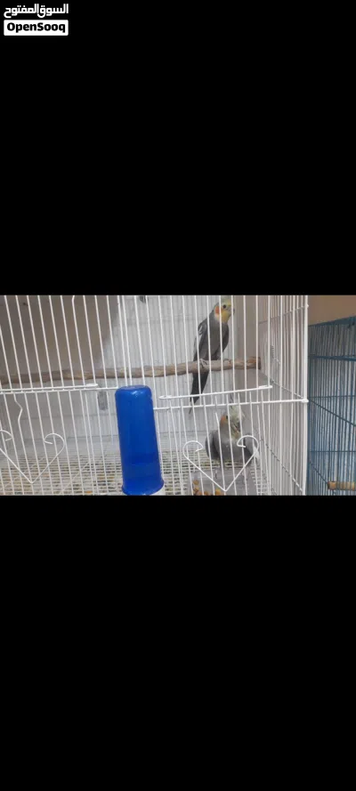undefined 2