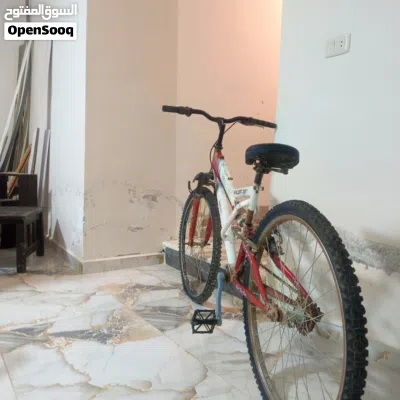 بسكليت نوعية ممتازة بحاجة لبنشر واصلاح البريك 2