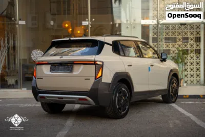 Dongfeng Other 2