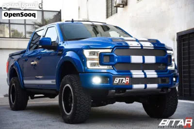 Ford F-150 Shelby 3