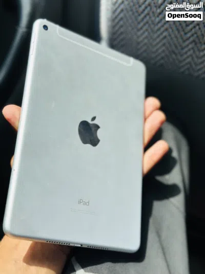 iPad mini5 2