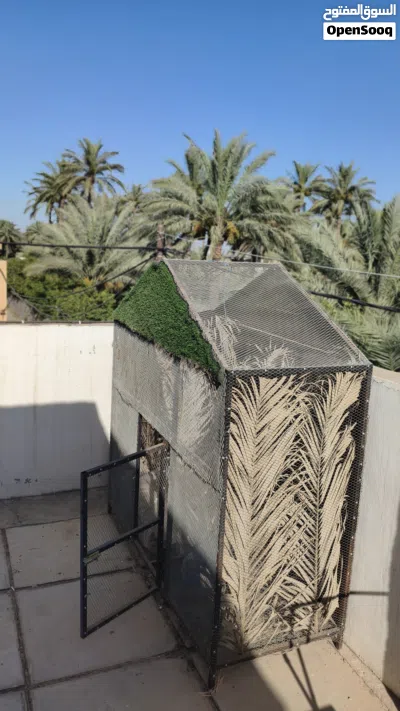 قفص مال محميه مال بلابل القفص حديد متعوب عليه واتساب السعر 200 وبي مجال 2
