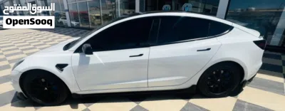Tesla Model 3 Standard Plus 3