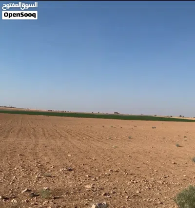 ارض مميزه في جنوب عمان الصلاحيه بالقرب من جلول 3