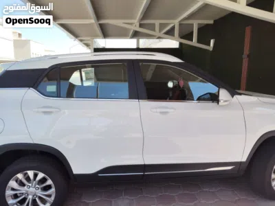 Chevrolet Groove Premiere 3
