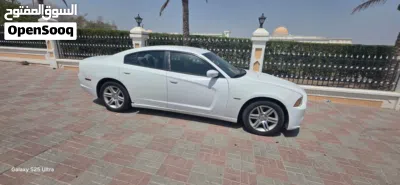 Dodge Charger Standard 3