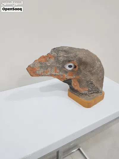 صخرة على شكل وجه طائر 2