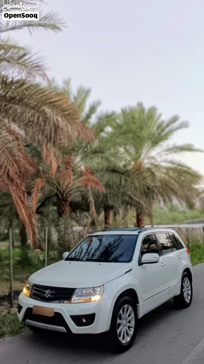 Suzuki Grand Vitara DLX 2