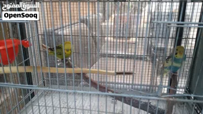 undefined 3