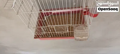 قفص نظيف للبيع 3