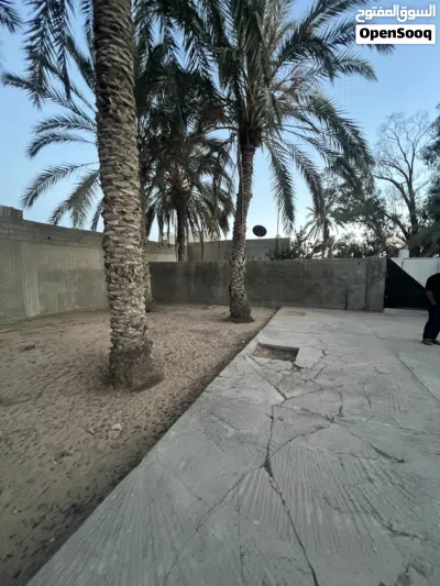 علي بركة الله منزل للبيع بالقرب من جزيرة التومي 3