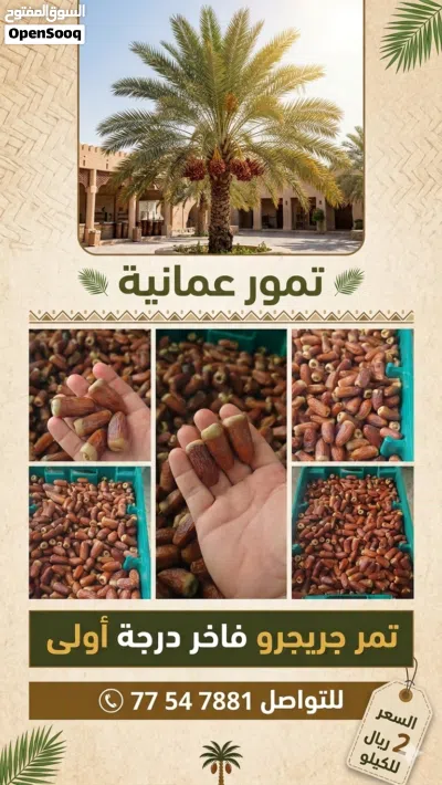 تمر جريجرو فاخر 2