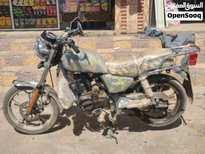 QJmotor CVH 2