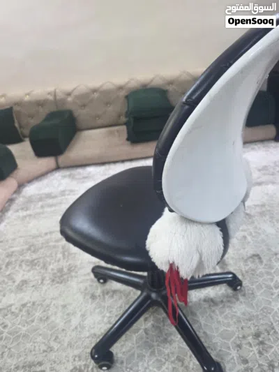 كرسي العاب او مكتب امريكي ثقيل جدا 3