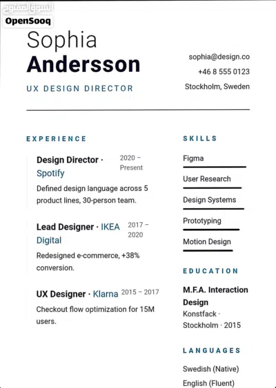 Professional Resume/CV maker 3