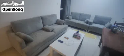 TWO SEATER SOFA AND SINGLE SEATER SOFA 4