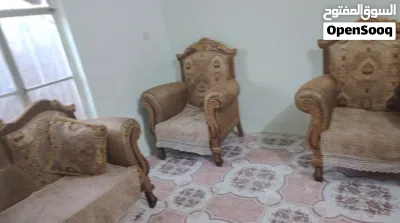 تخم مستعمل للبيع 4