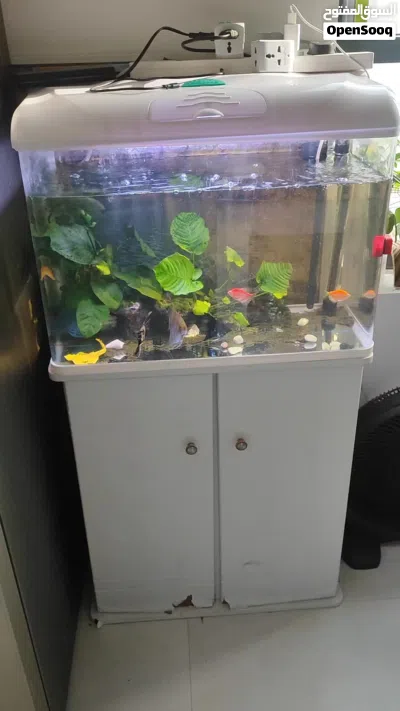 Acuarium with stand with fish 2