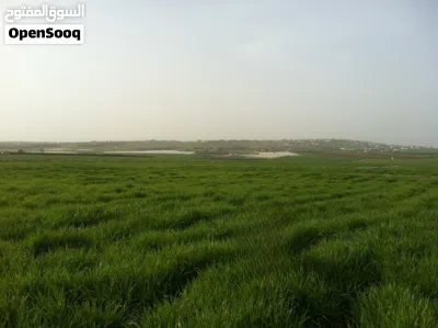 أرض للبيع في عمّان الجنوبية طريق المطار بالقرب من كينغز أكاديمي 2