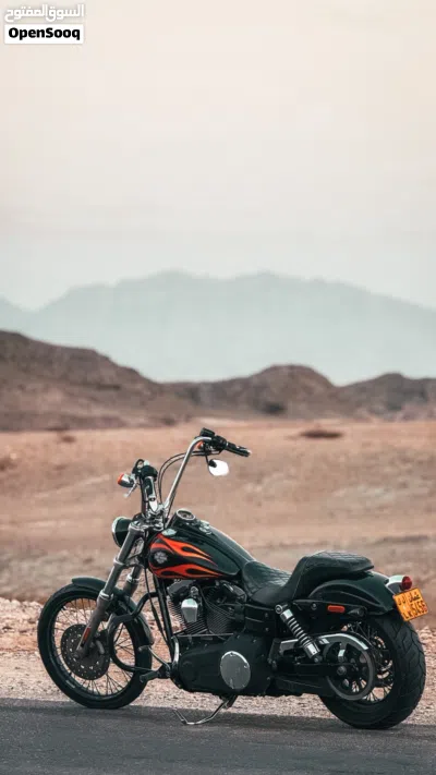 Harley Davidson Other 3