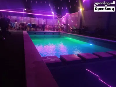 مزرعة حديثة للبيع بسعر مغري جدا 4