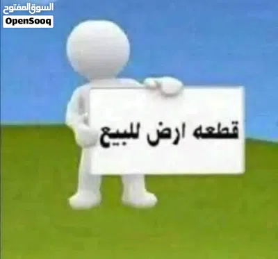 قطعتين ارض للبيع في المفرق ع مساحه 48042 سعر القطعه 26الف 3