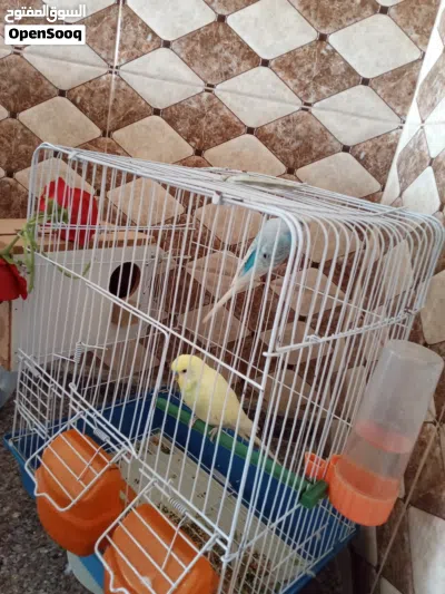 undefined 3