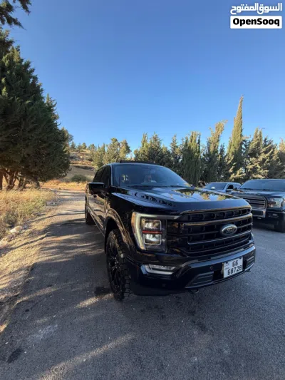 Ford F-150 Lariat 4