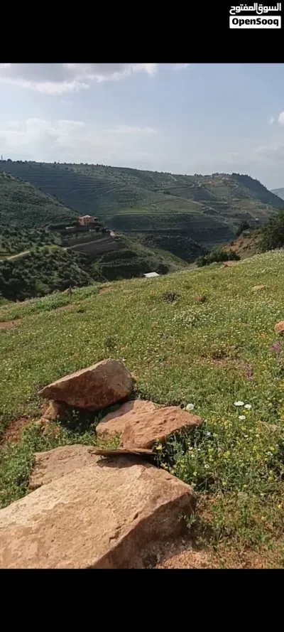 فرصه استثماريه ارض في الصبيحي 3400 متر 2