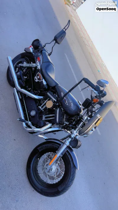 هارلي ديفيدسون 1200 Custom 2