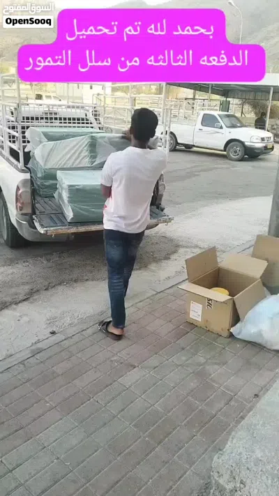 سلل التمور 2