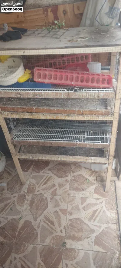 قفص فري طابقين بسعر حرق 3