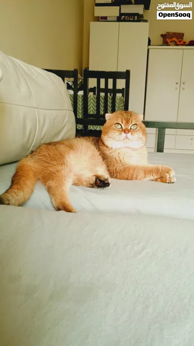 undefined 3