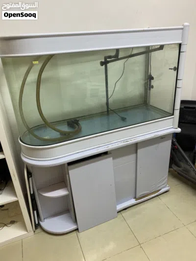 Big fish tank 2
