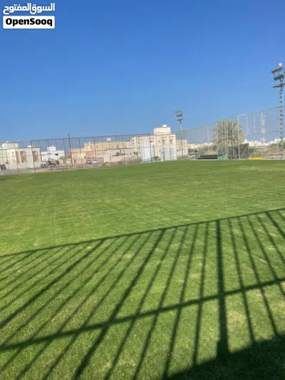 العشب الطبيعي الجوده العاليه 2