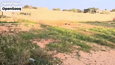 ارض للبيع بنغازي بودزيرة ارض الاحلام مساحة 300 متر بيع كاش او تحويل 3
