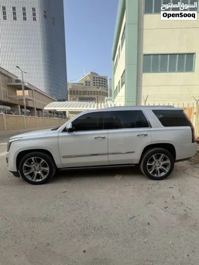 كاديلاك اسكاليد Premium 3