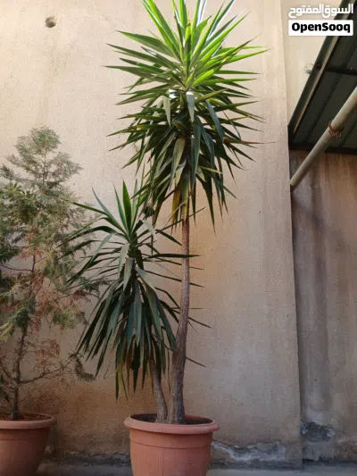 undefined 2