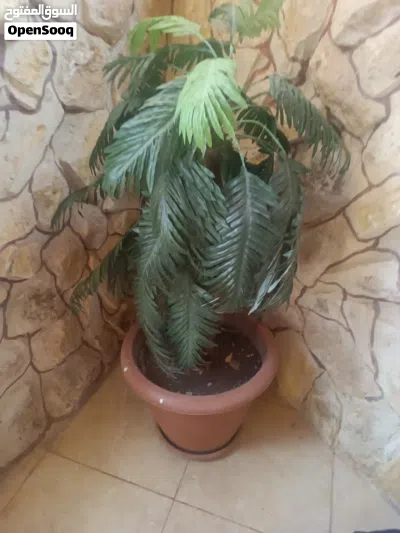 undefined 2