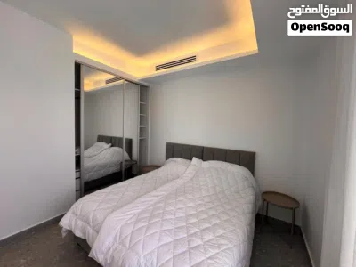 شقة 2 نوم مفروشة للايجار ( Property 48582 )-164916 4