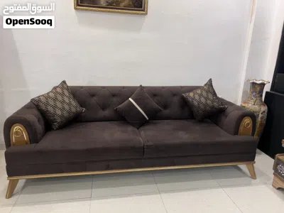 تخم تركي للبيع 4