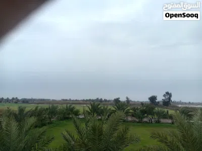 ارض طابو زراعي سند 25. للبيع. 4